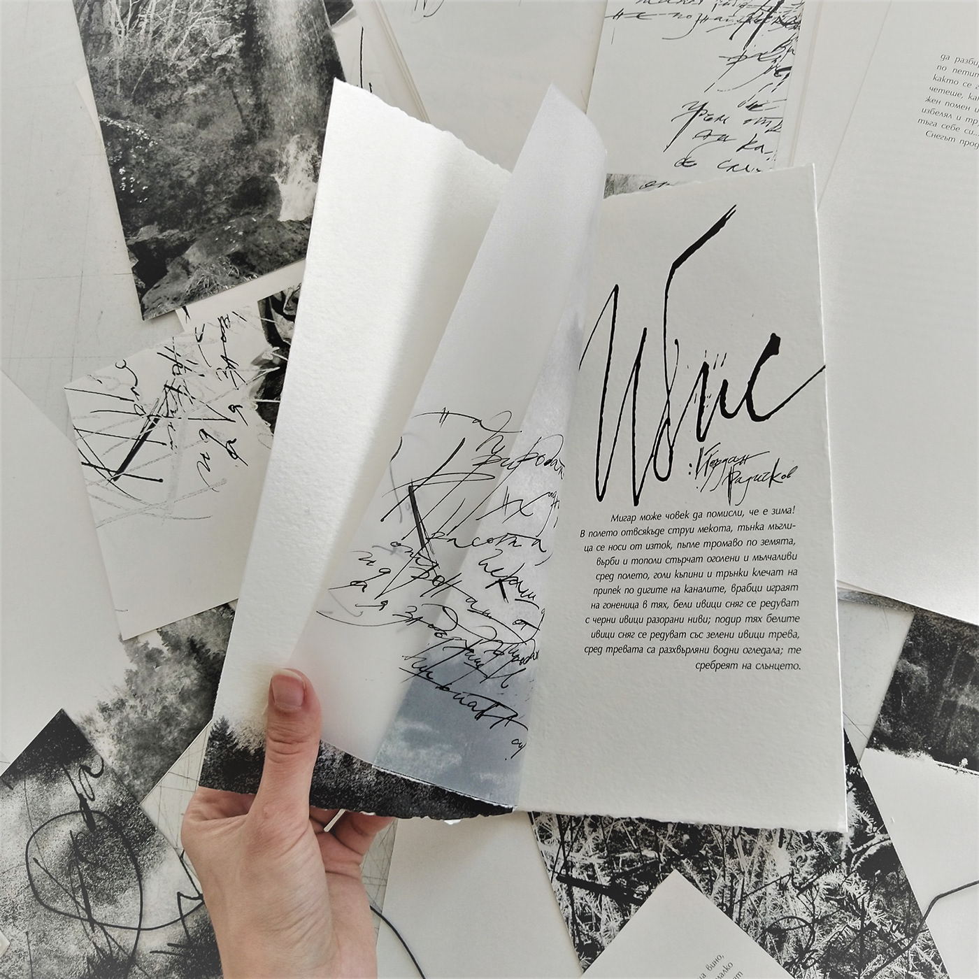 ILLUSTRATION  book design Photography  handwritting Nature black and white book artbook radichkov