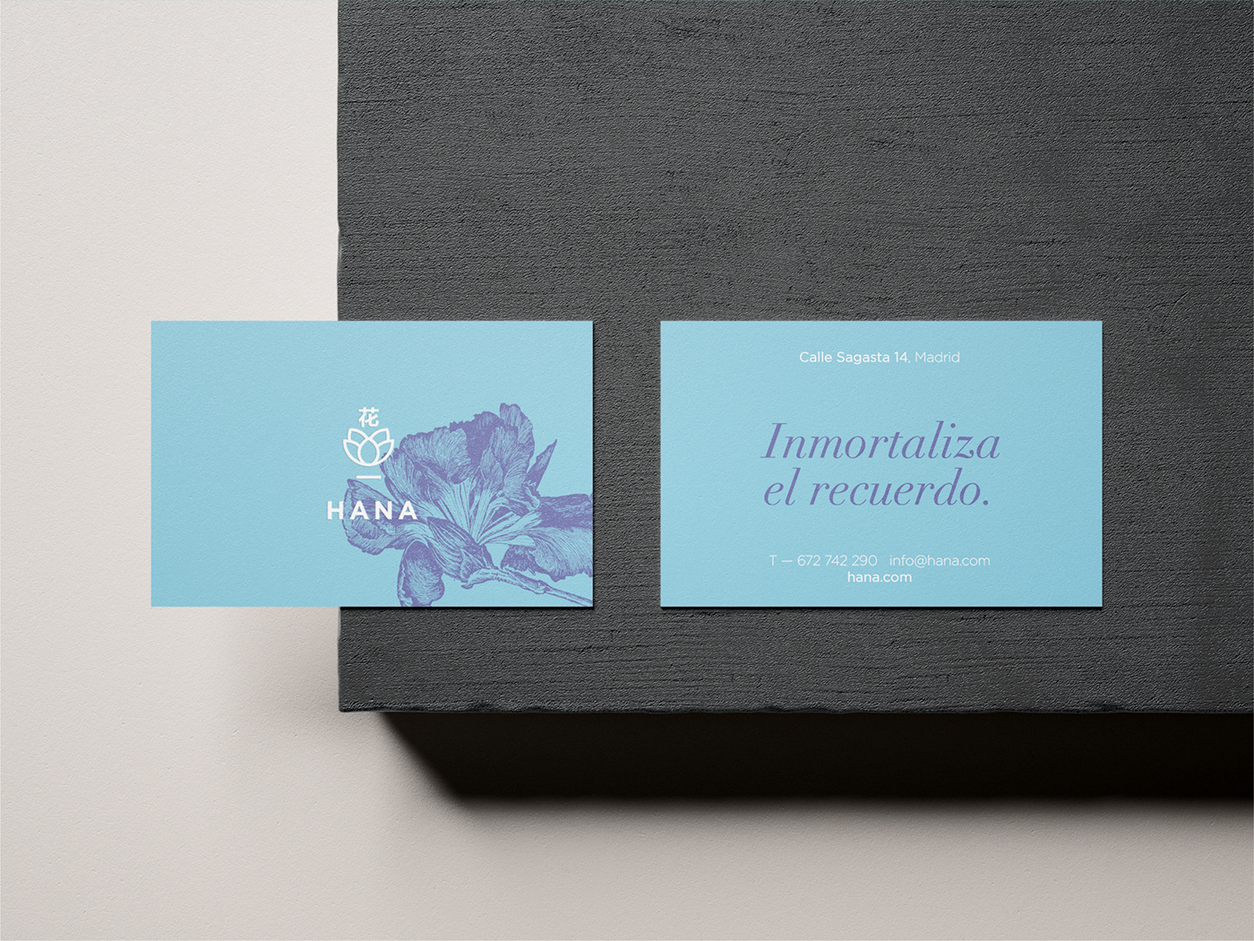 branding  concept graphic design  logo Logo Design marcas Packaging tea company visual identity