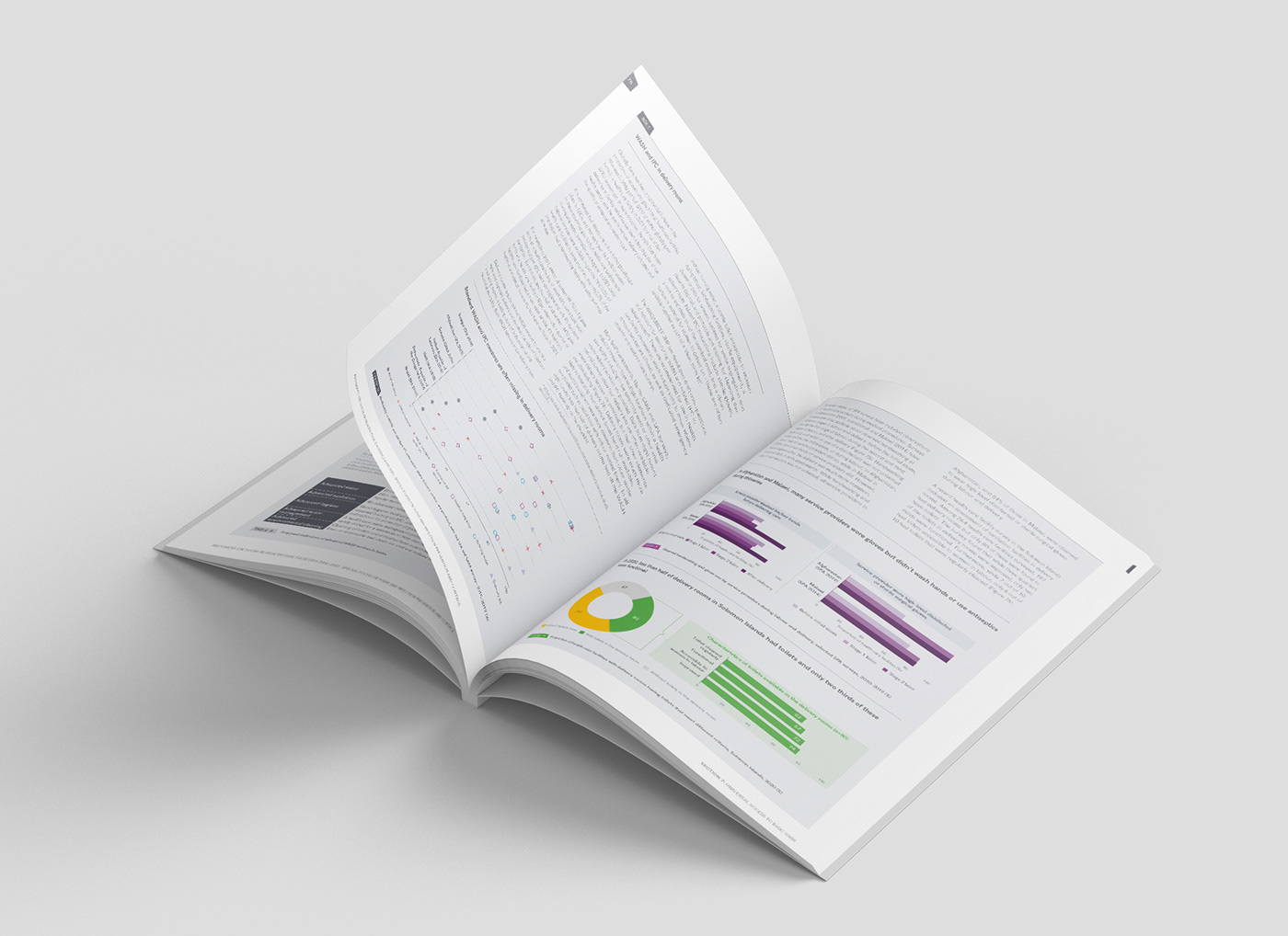 brochure data visualization editorial editorial design  graphic design  Layout