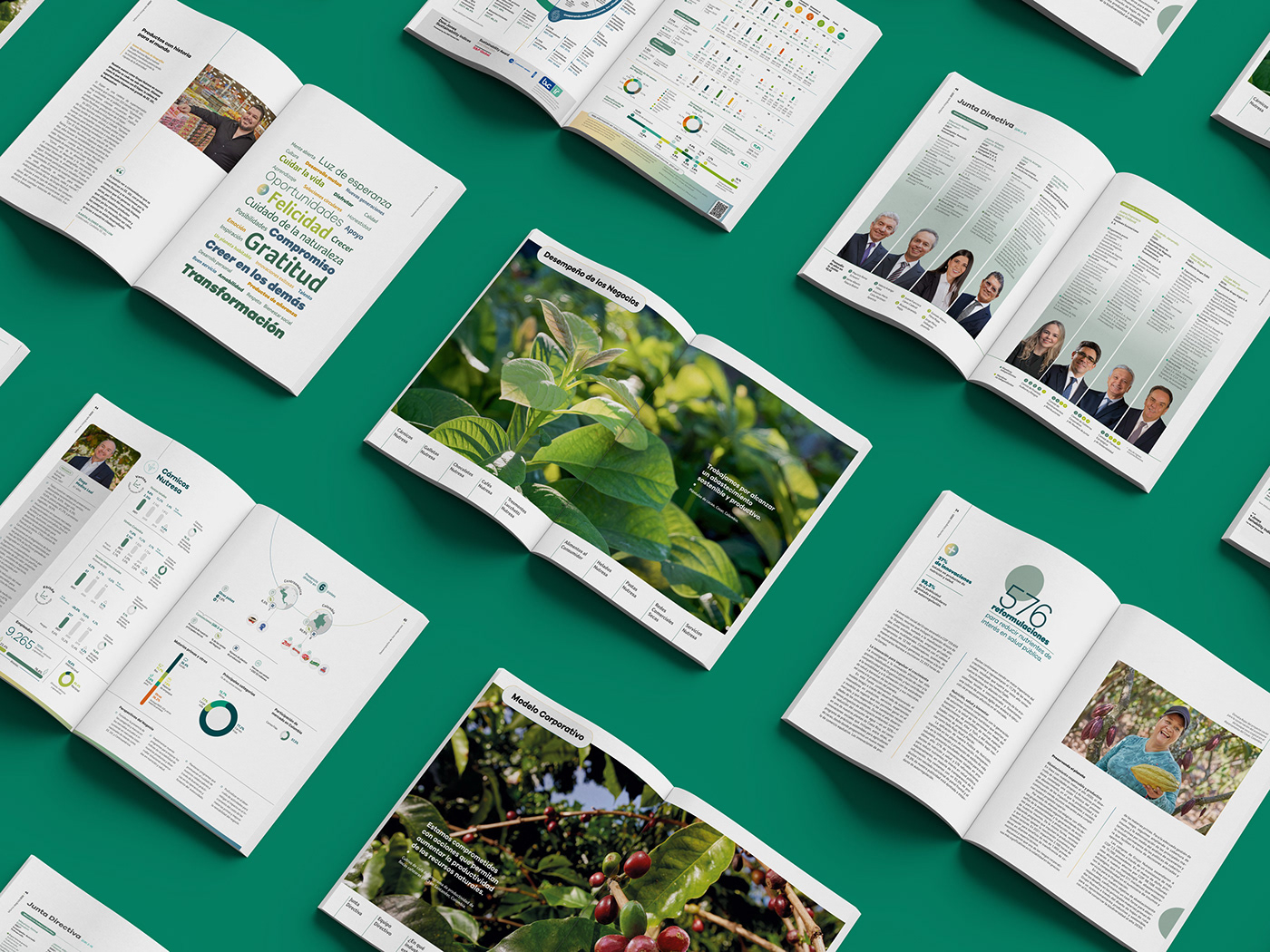 annual report book Diseño editorial diseño gráfico editorial editorial design  infographic informe anual Layout report design