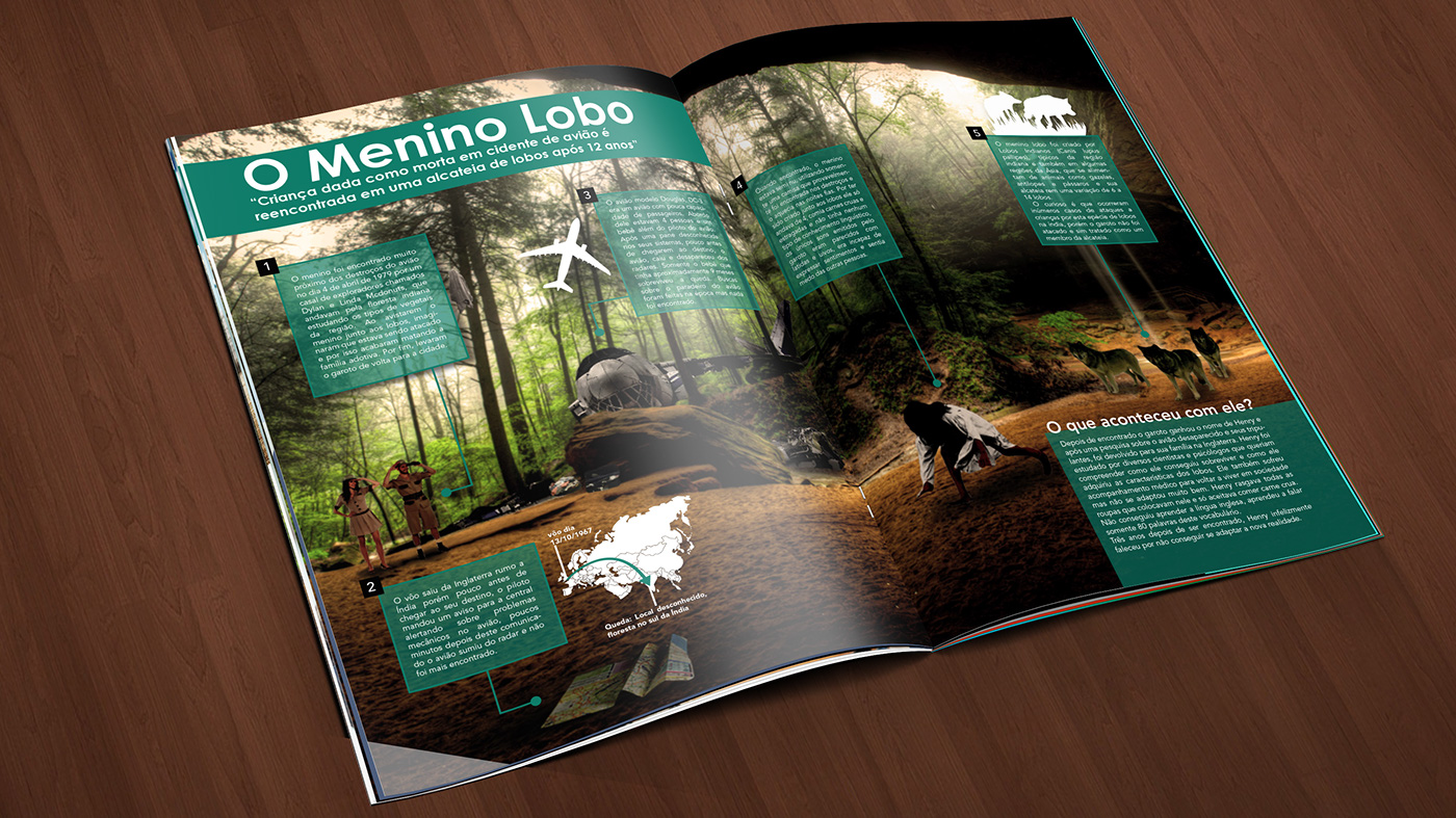 infographic graphic design  Mogli Menino Lobo infográfico revista magazine