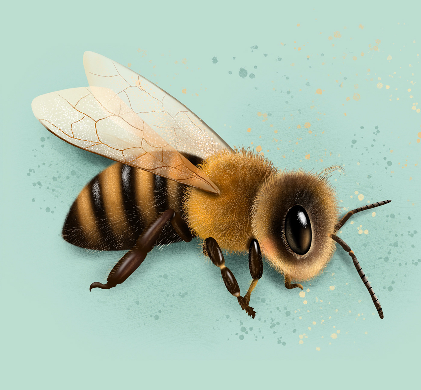 bee Character design  childrenbook ChildrenIllustration Digital Art  ILLUSTRATION  insect Nature Procreate dragonfly
