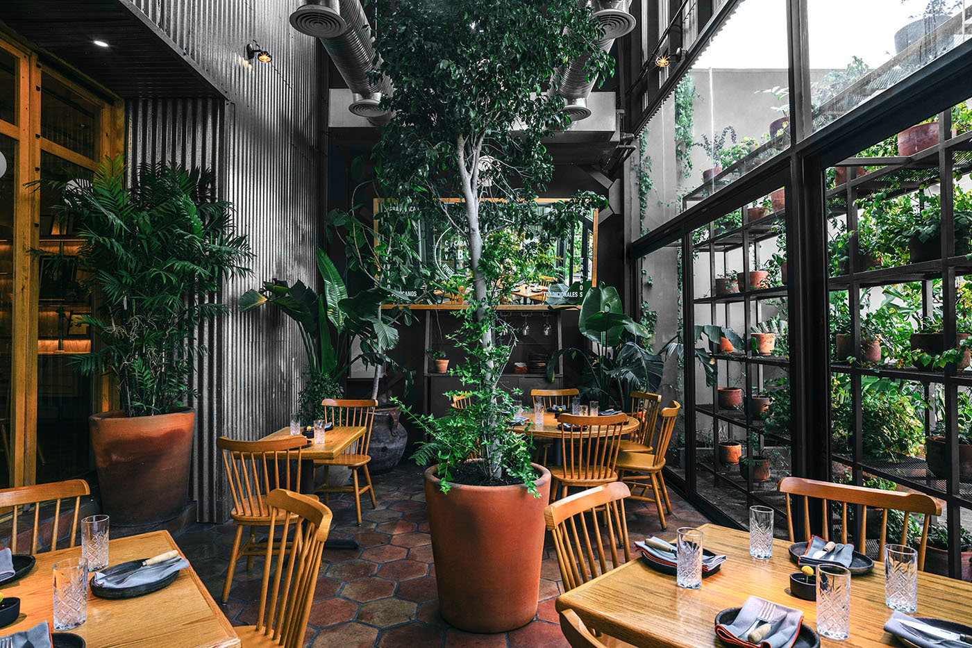 architecture bar design interior design  mexico monterrey OpenTheme plants restaurant Scandinavian design