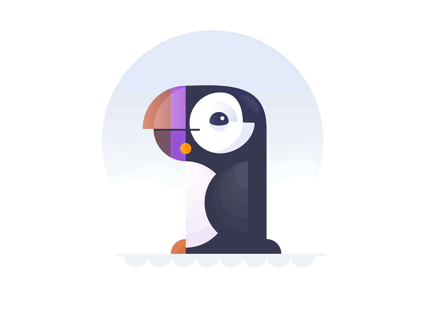 animal animals bird birds colours pelican penguin pigeon shapes toucan