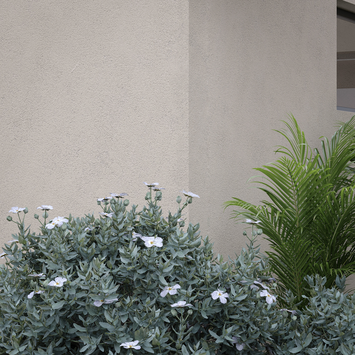 flower architecture facade exterior house corona render  visualization 3ds max archviz modern