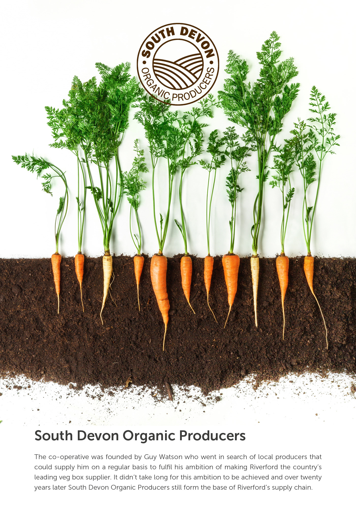 branding  Logo Design logo visual identity organic Food  graphic design  social media Event print design 