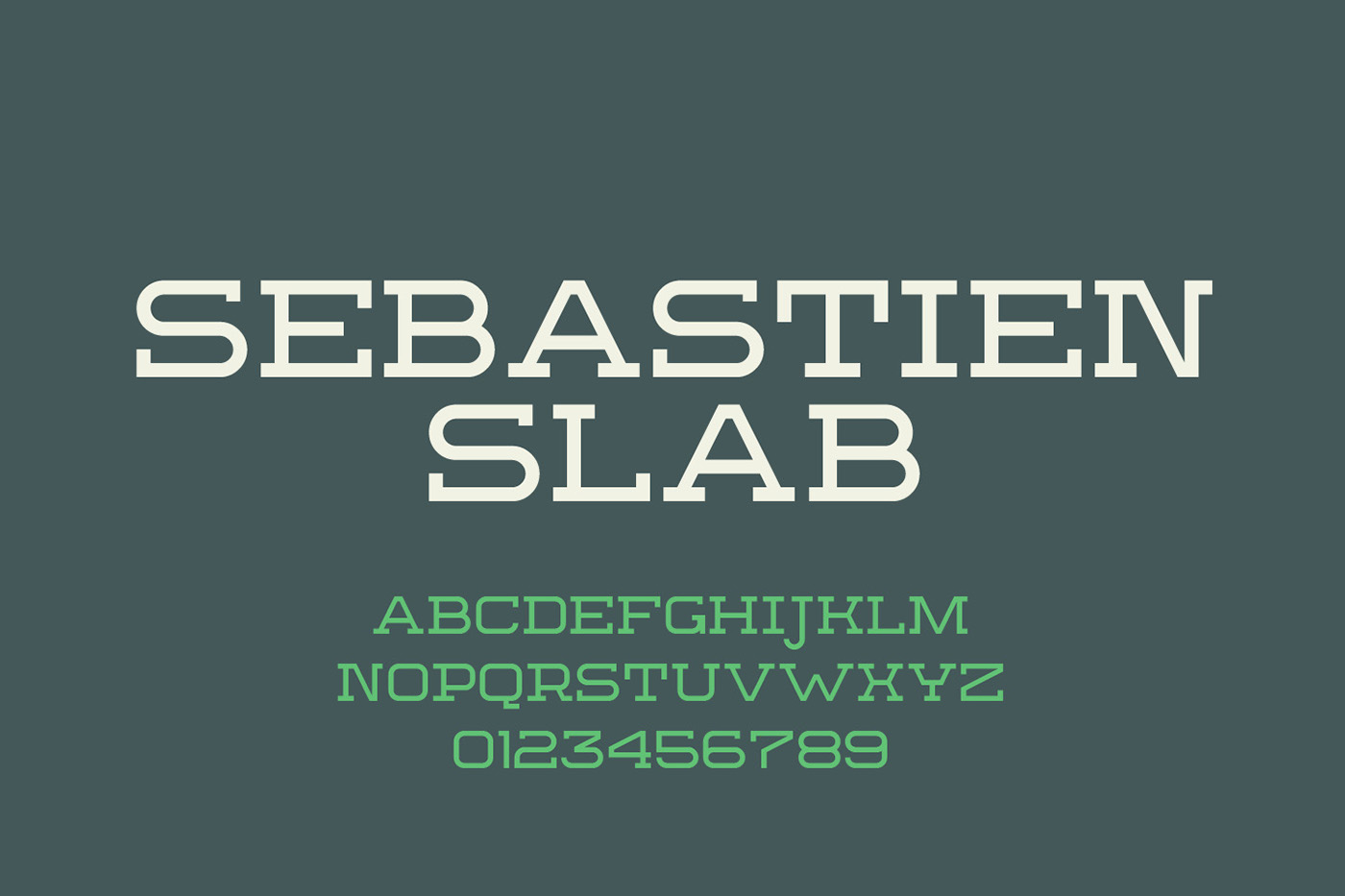 type design typefaces Typeface font fonts display fonts headline fonts Headline Display slab serif rustic western