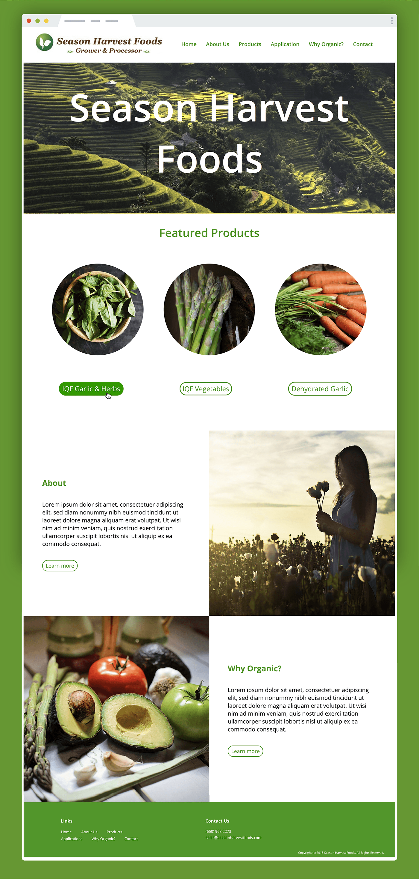 Website organic Food  vegetables season harvest foods