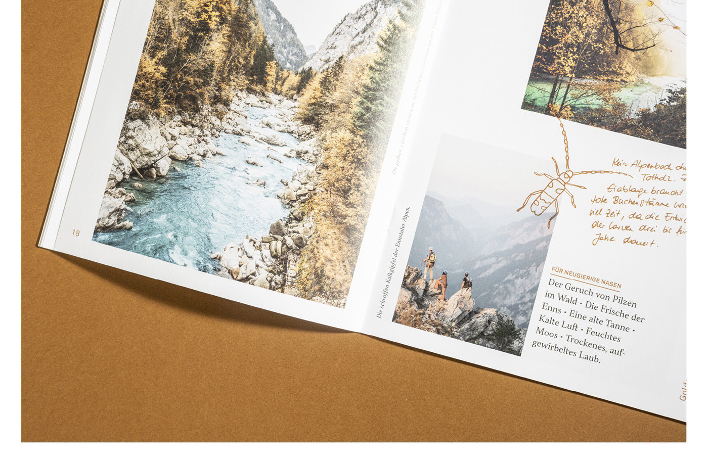 copywriting  editorial design  image brochure Nature Nationalparks Austria ILLUSTRATION  senses