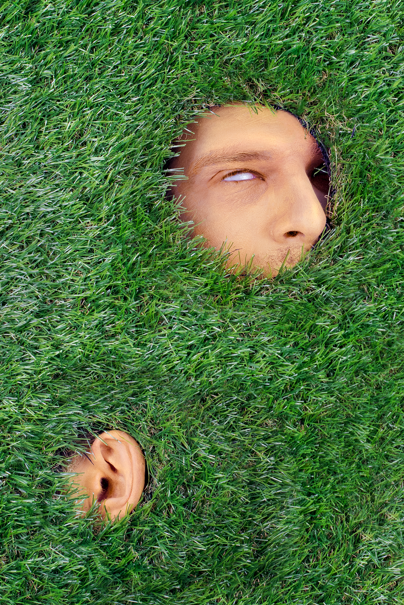 grass fields surrealism portrait surreal artificial grass faces ear