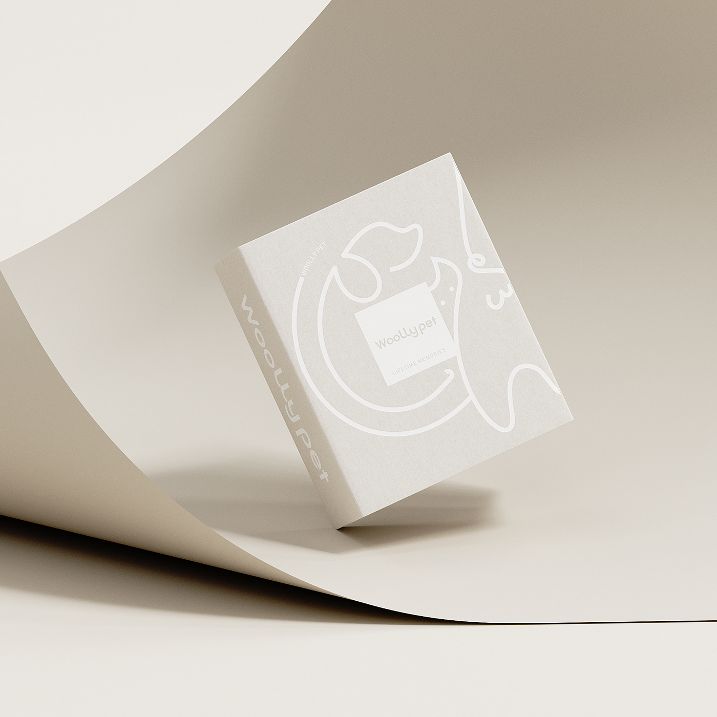 design logo visual identity Brand Design Packaging brand identity Logo Design