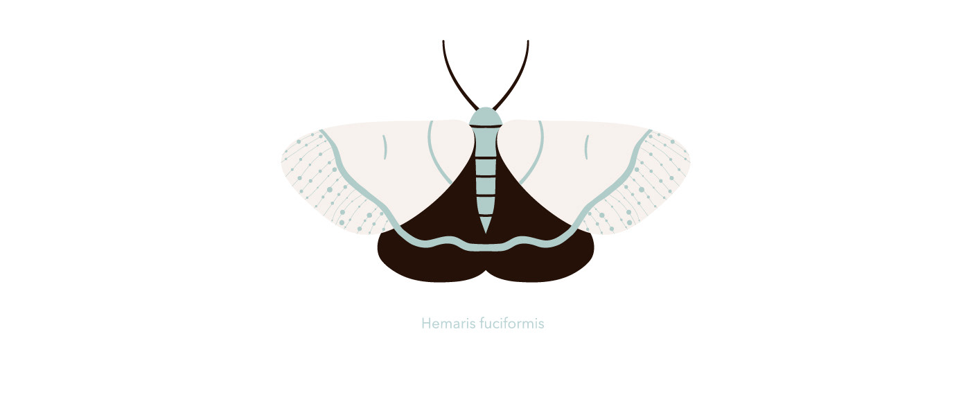 background butterflies Fashion  insect logo pattern seamless sticker textile wallpaper