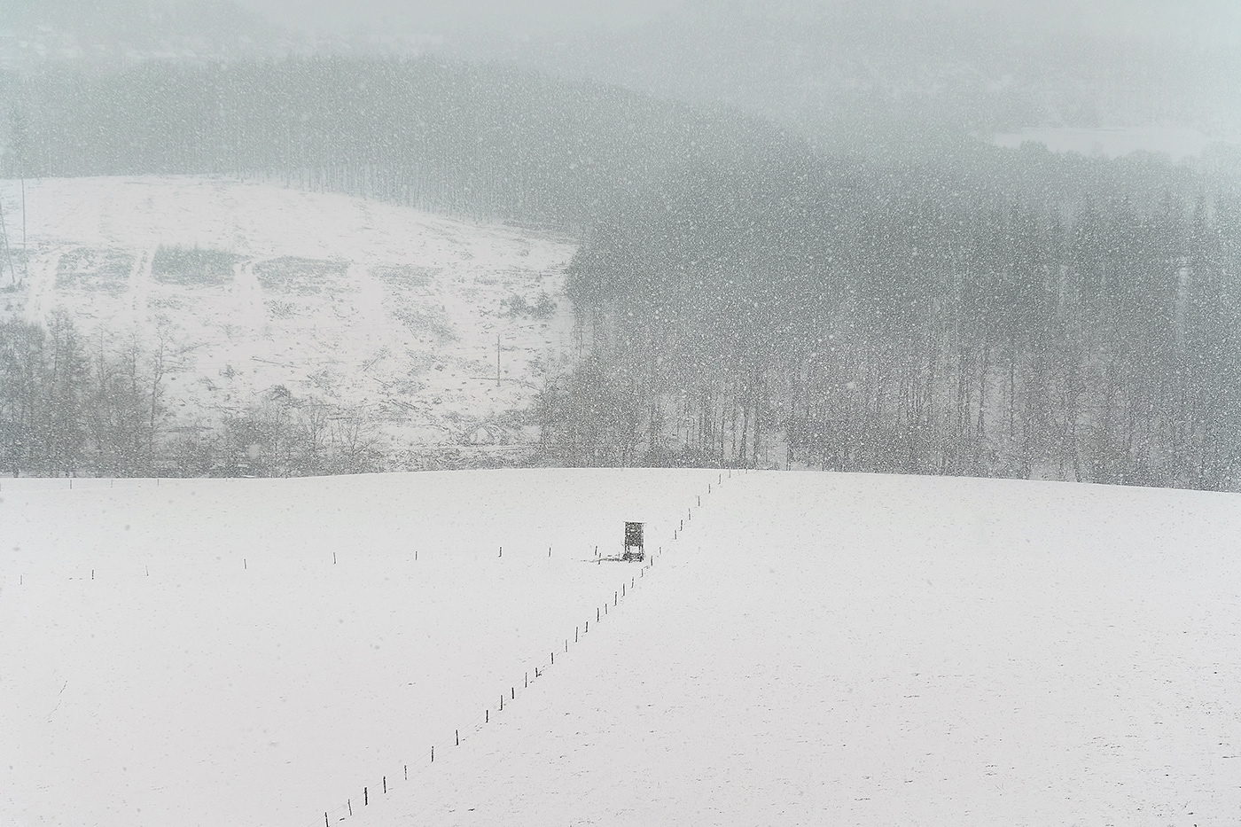 dog jörg marx Landscape Photography  snow winter