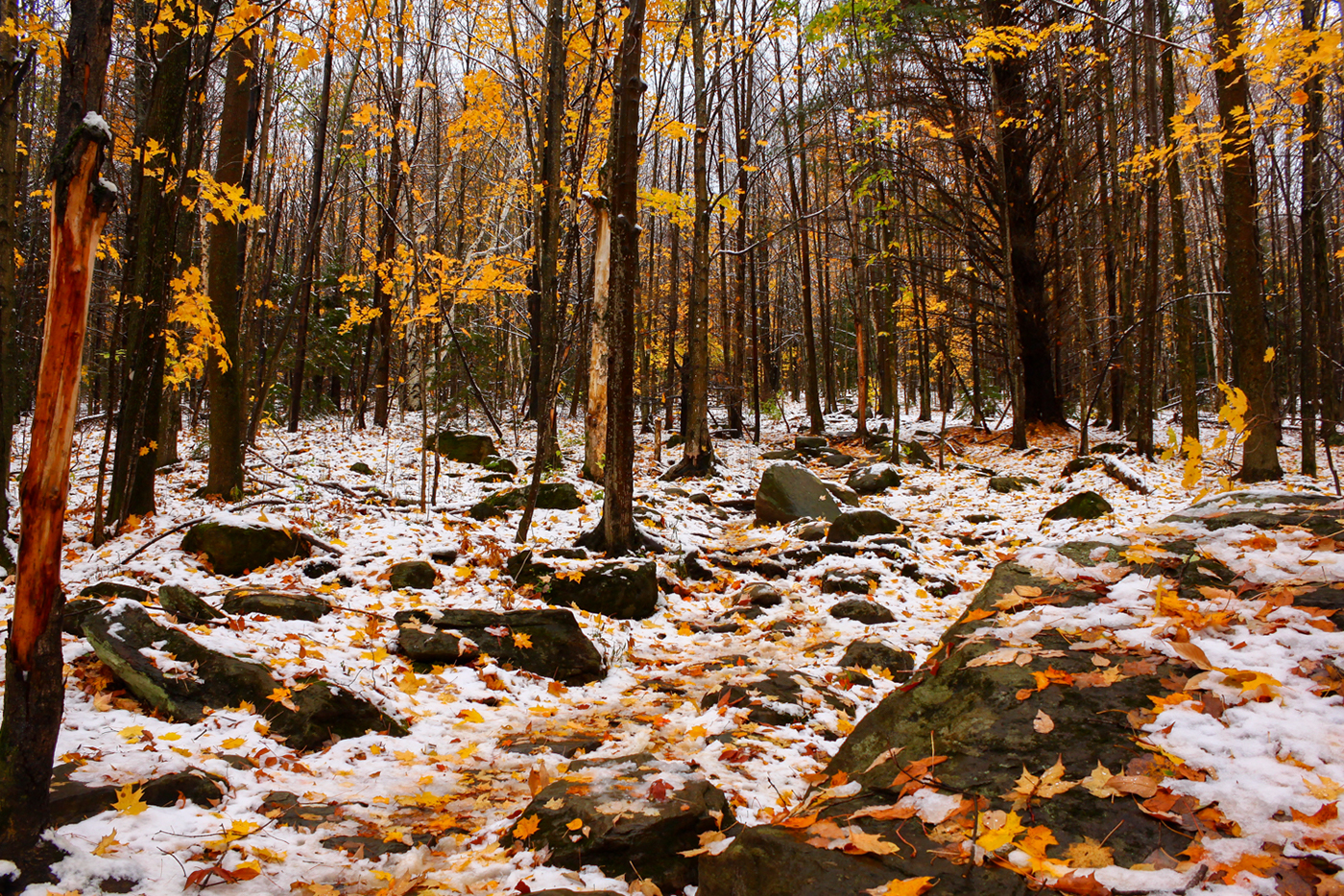 snow winter autumn Fall Vermont stowe Burlington usa New England foliage