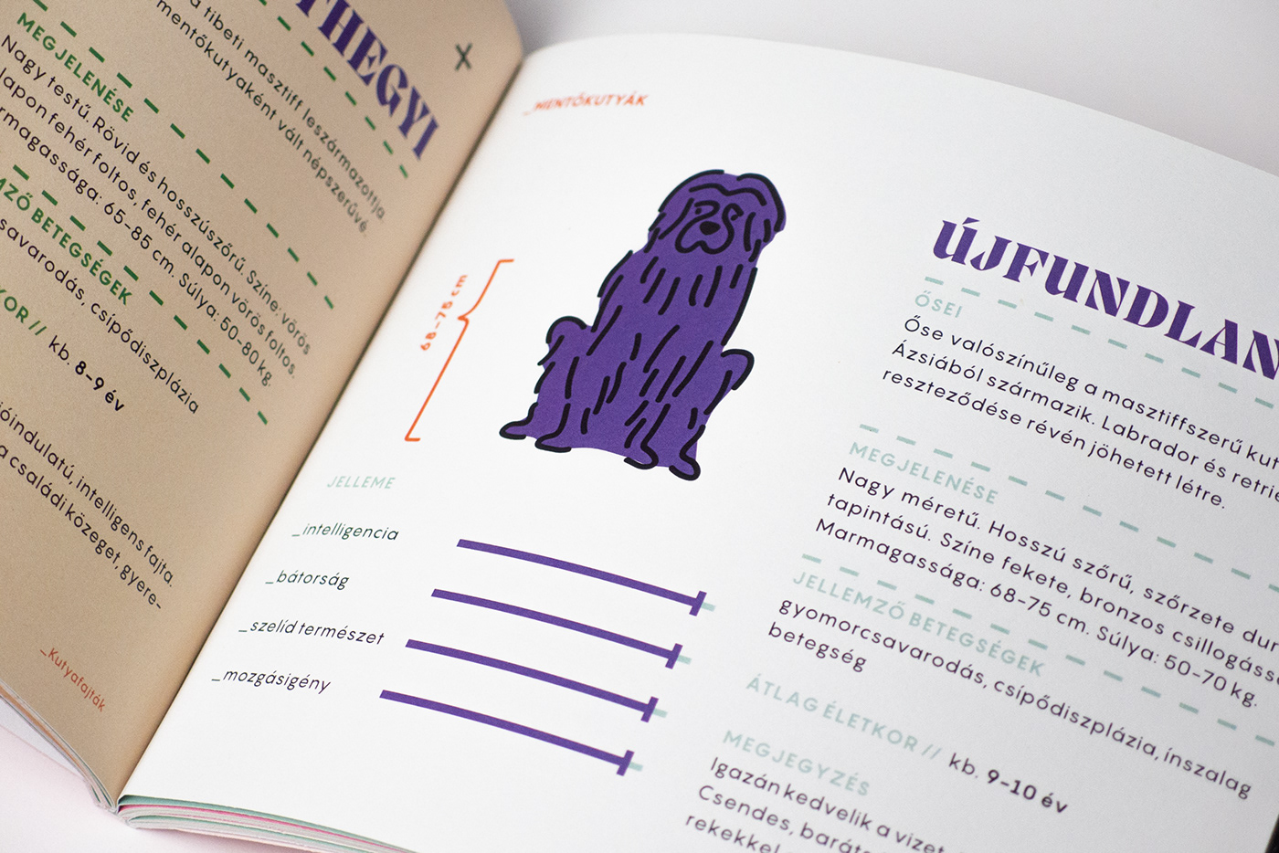 animals branding  design dog editorial graphic design  Graphic Designer identity UI/UX Webdesign