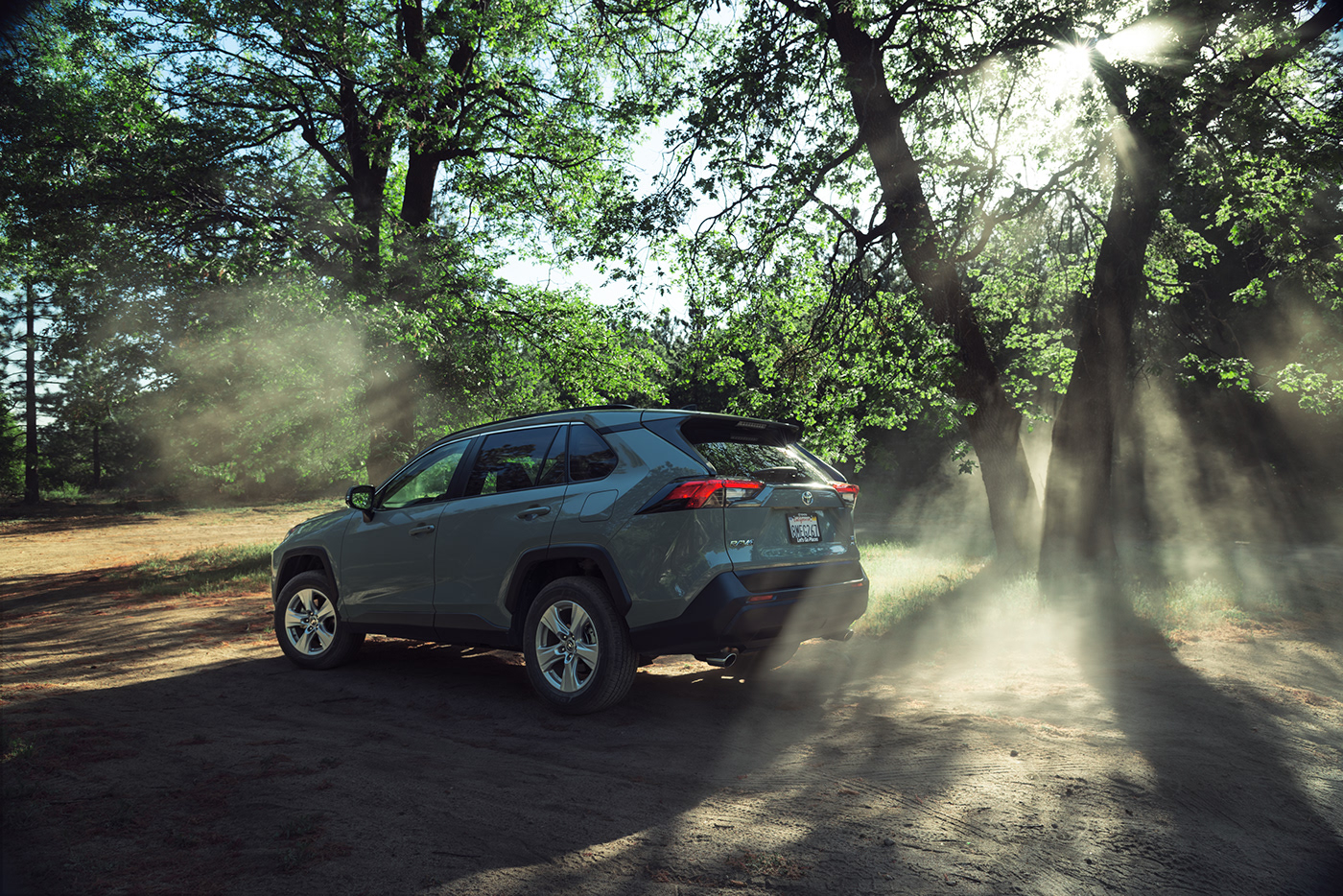 adventure Automotive Photography forest Off-Road toyota transportation
