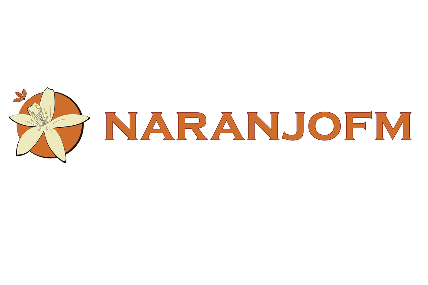 brand brandidentity elemento flyer Icon identity naranjo Radio symbol