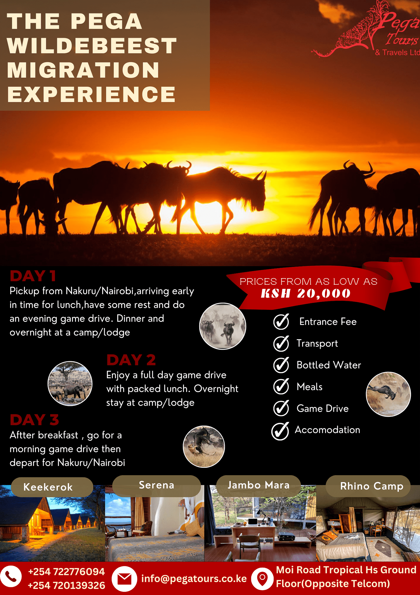 poster wildebeest travel agency Travel flyer