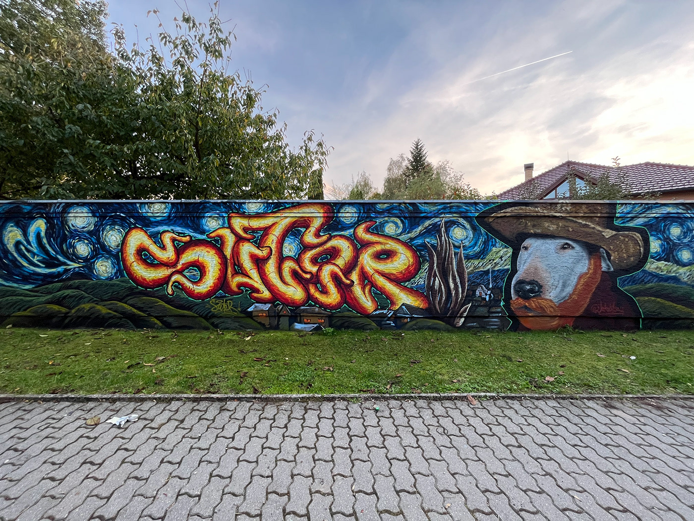 art Graffiti streetart bullterrier vangogh painting   tsau suter daner