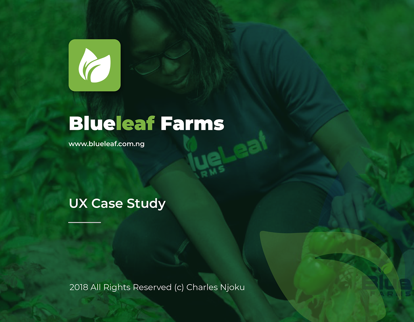 UI/UX Web Design  agriculture