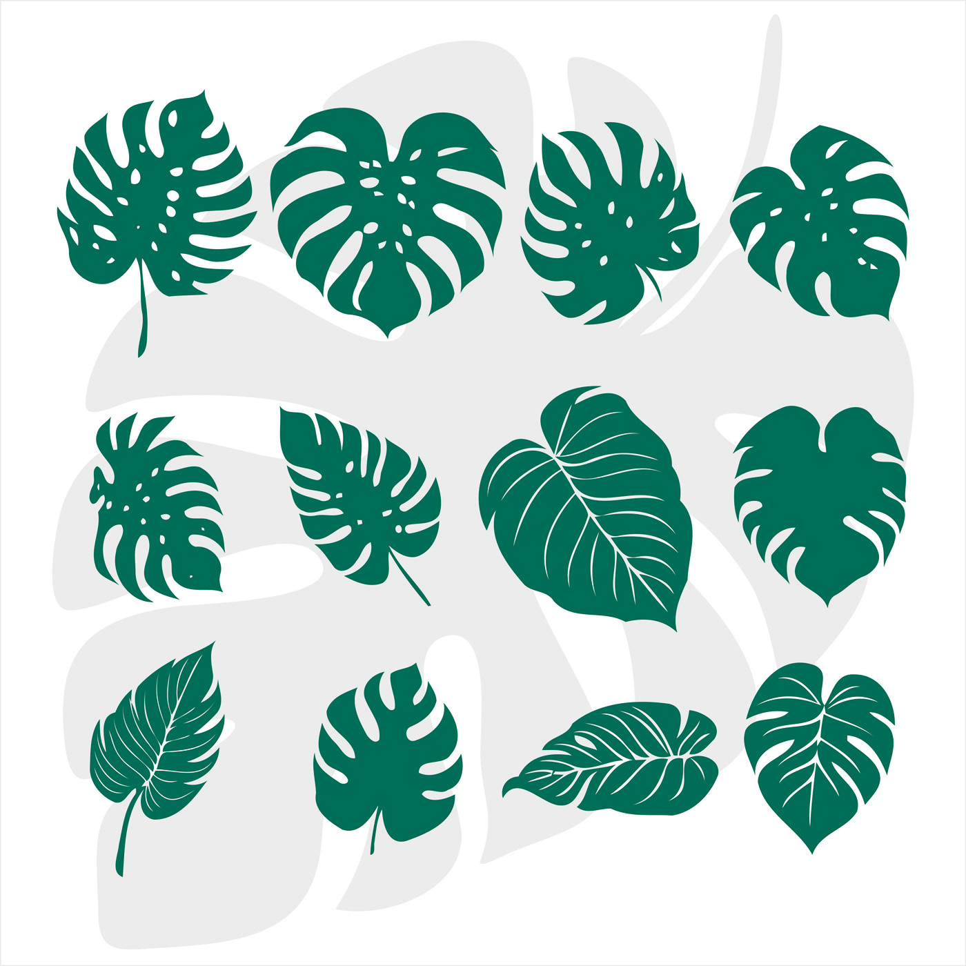 monstera leaf svg Files for Cricut tropical leaves Instant Download Leaves Printable leaves svg monstera clipart Nature Plant Svg tropical leaf svg tropical leaf vector