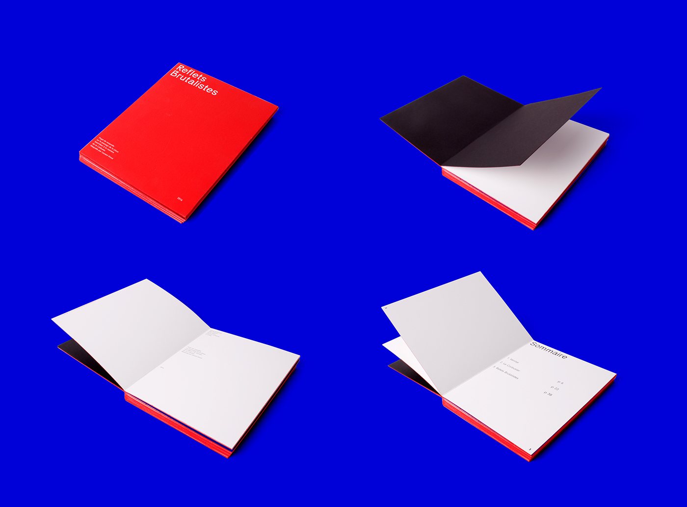 red minimal book color type pantone editorial Layout