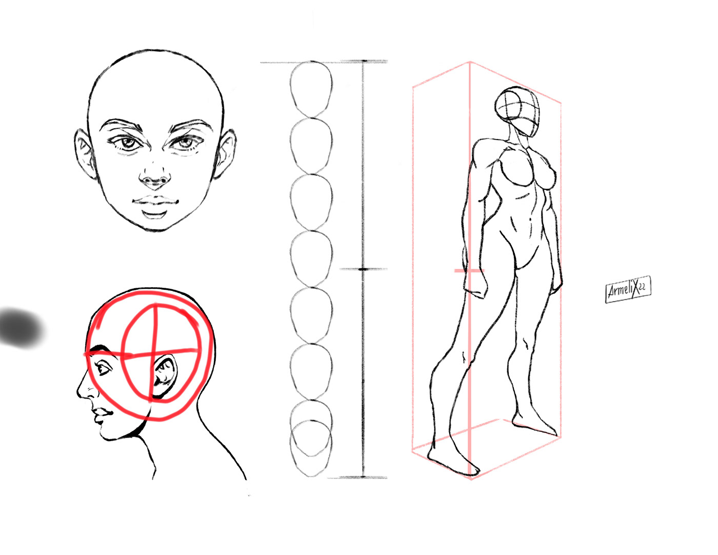 figuredrawing sketches Procreate characterdesign