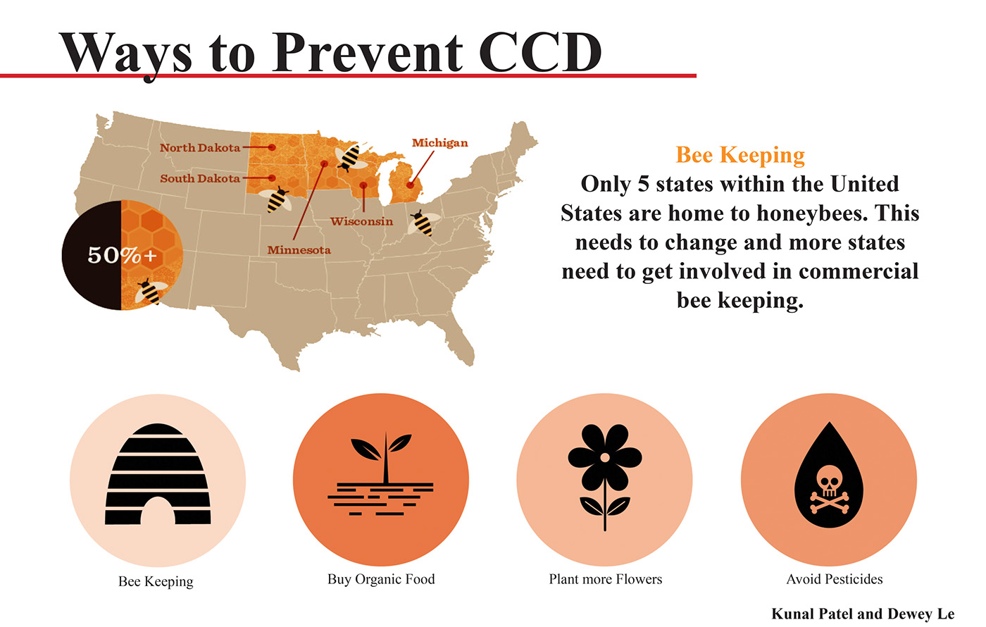 Urban bee keeping CCD honey bee massart Project city bee hive