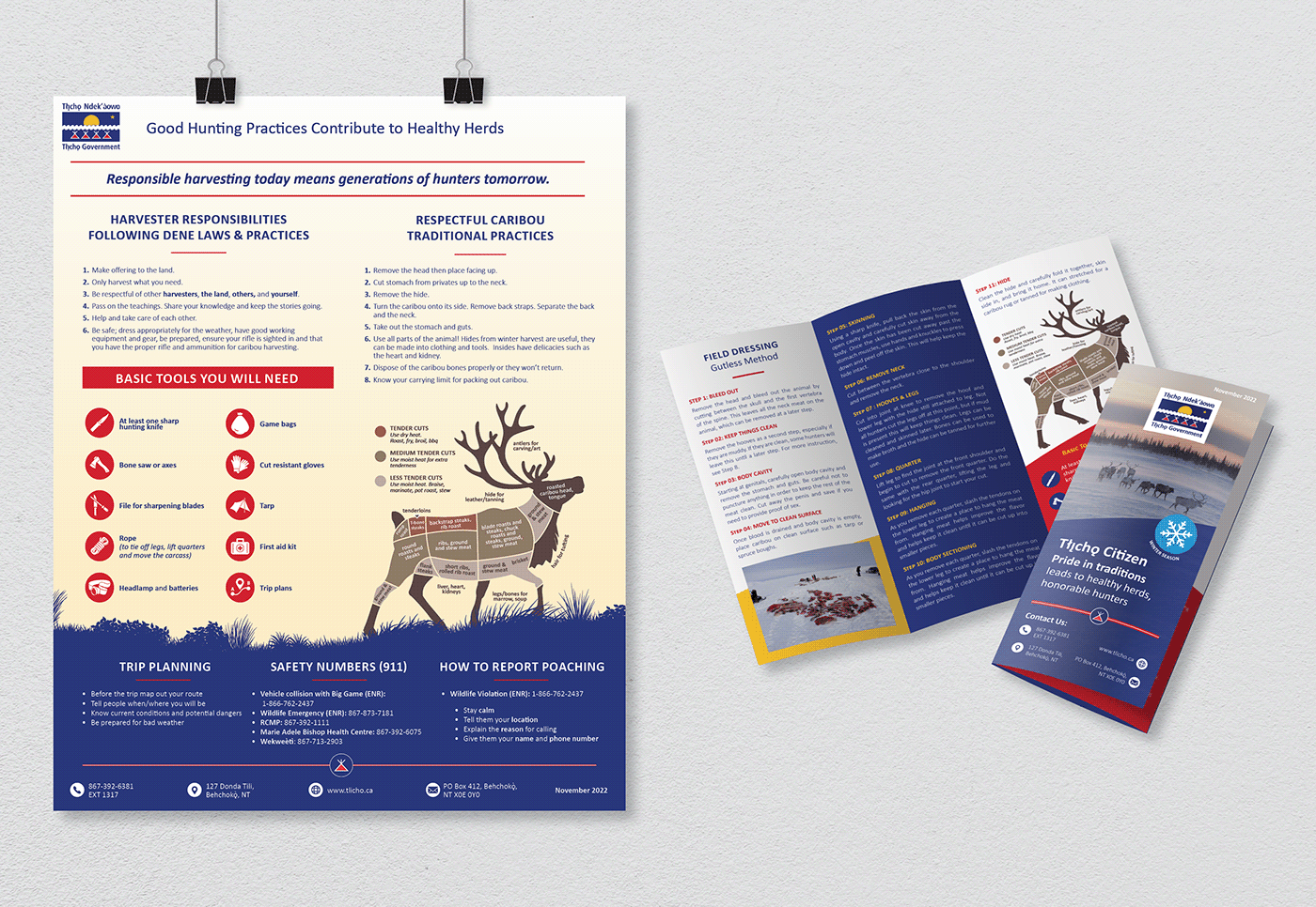 brochure poster Maarketing Caribou design Illustrator InDesign