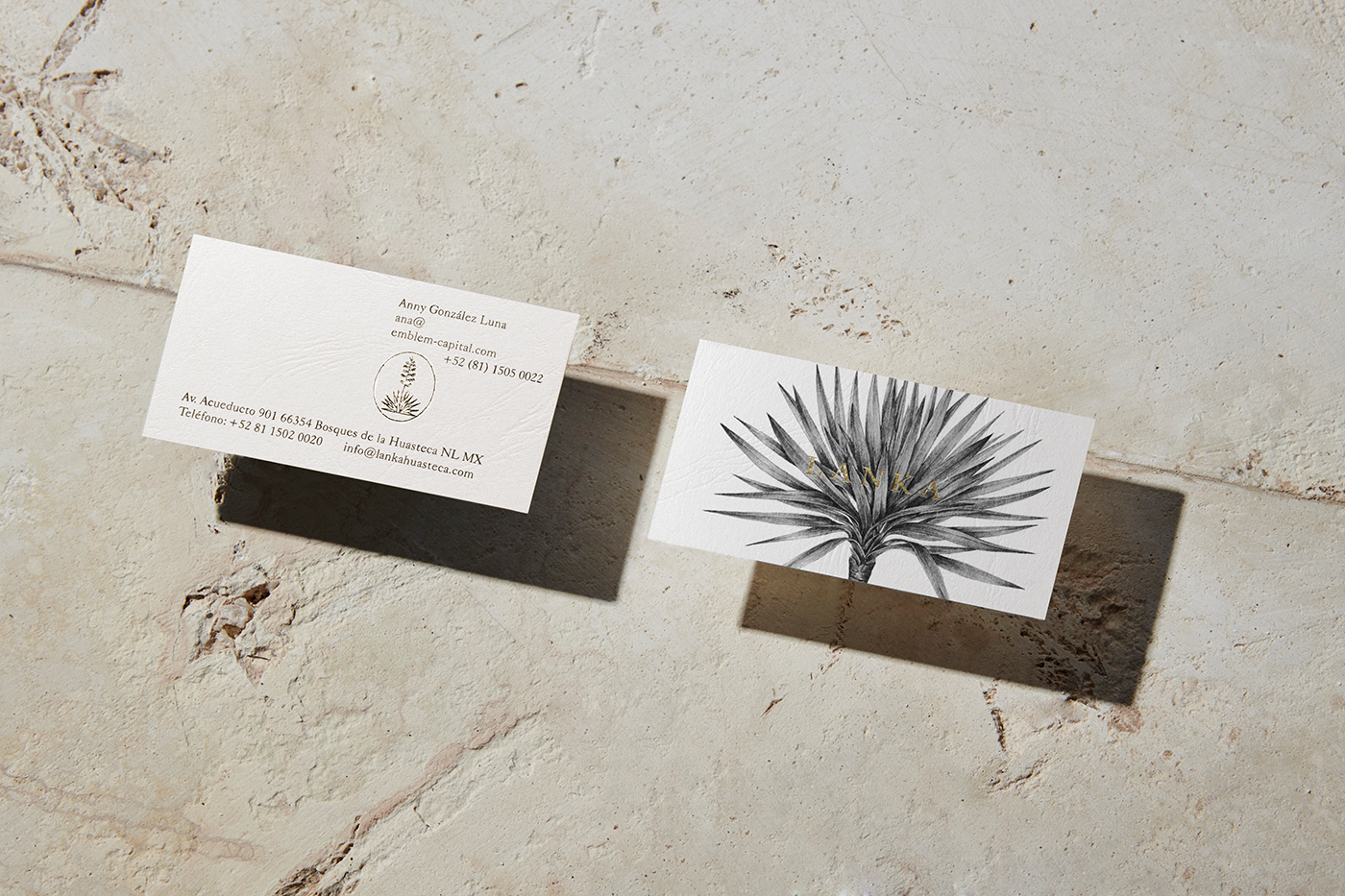 anagramastudio Lanka emblemcapital mexico huasteca yucca Nature splatters realestate branding 