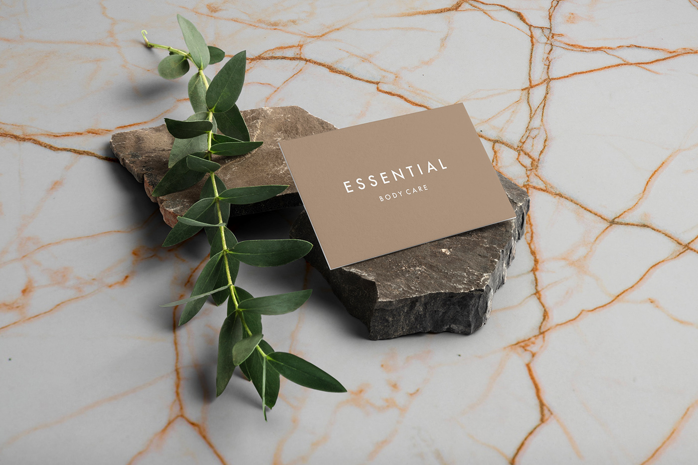 brand natural Cosmetic organic Photography  Packaging beauty skincare fresh Behance