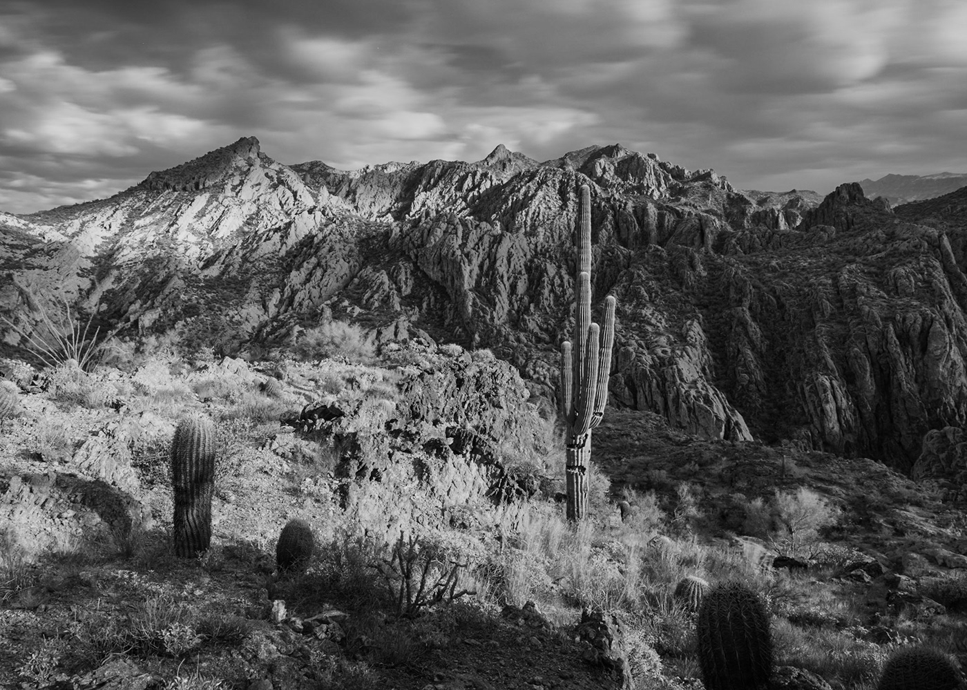 black and white cactus desert Landscape mountains Nature Outdoor Photography 