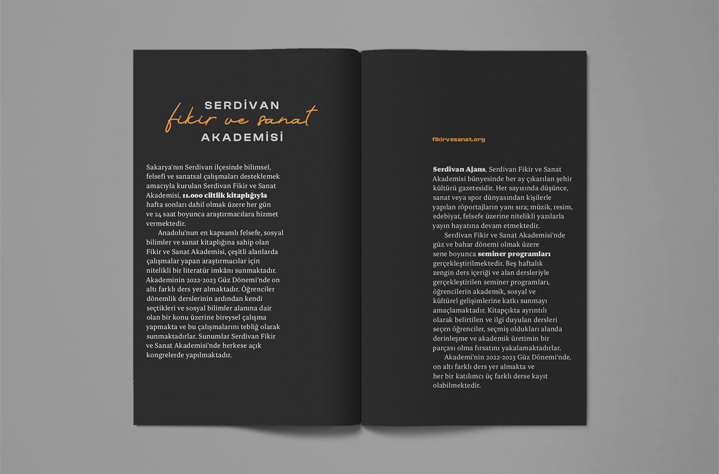 book brochure catalog design editorial design  InDesign Layout Layout Design magazine Magazine design print design 