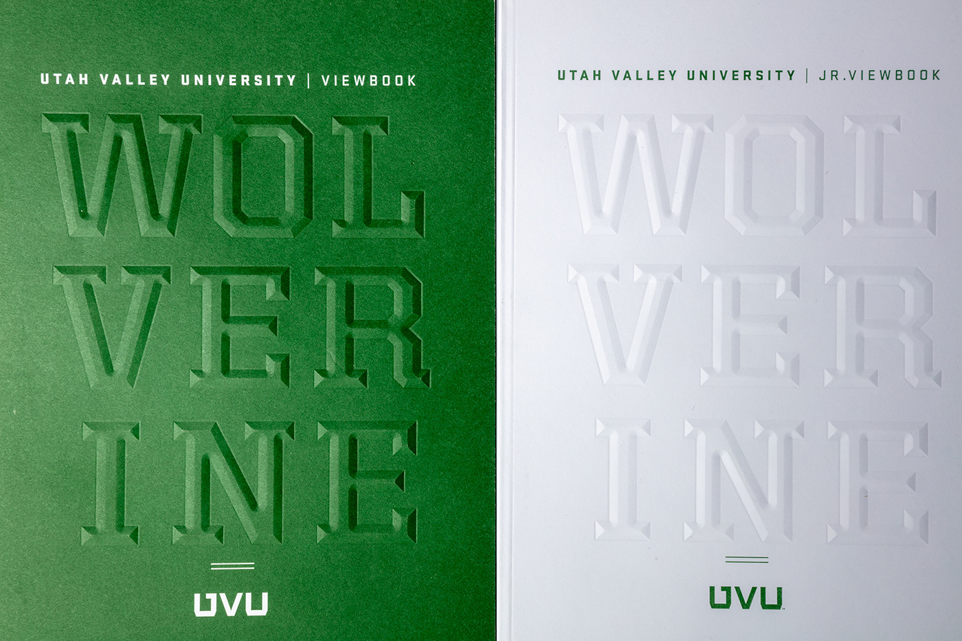 University publication magazine green wolverine learn Education emboss print college