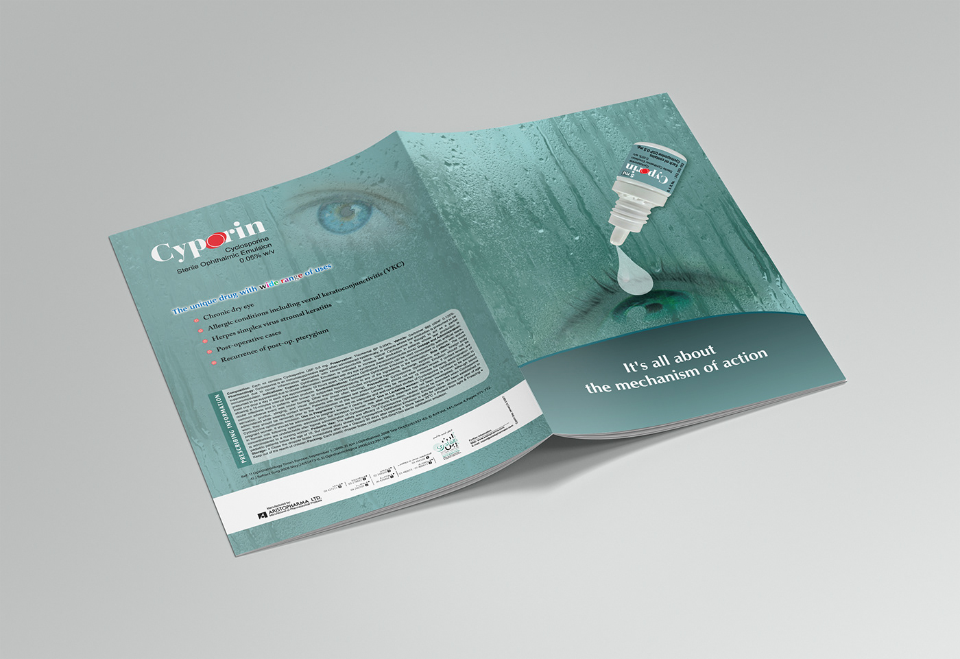 design Graphic Designer brochure design literature book cover