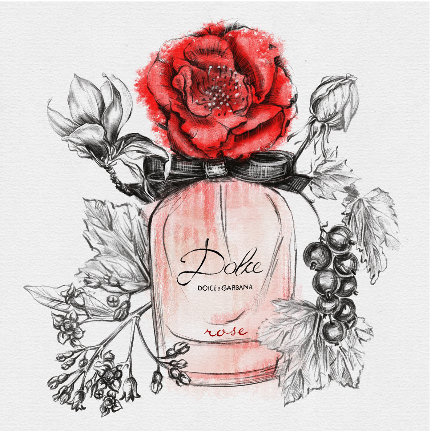 beauty cosmetics Digital Art  Drawing  painting   parfum perfume sketch