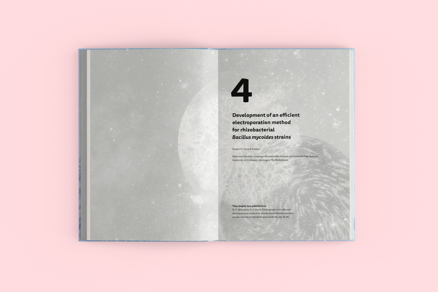 book cover graphic design  editorial thesis PhD Thesis