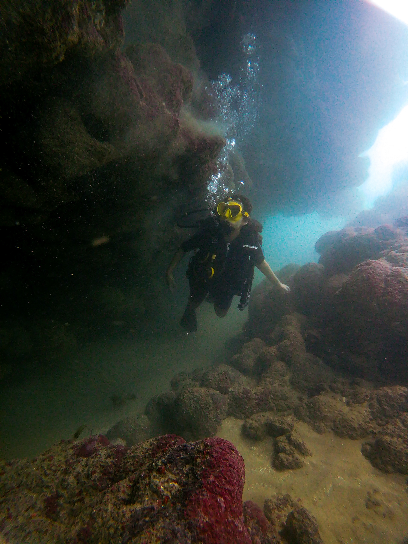 diving sea coral scuba diving underwater fish water Ocean Nature beach