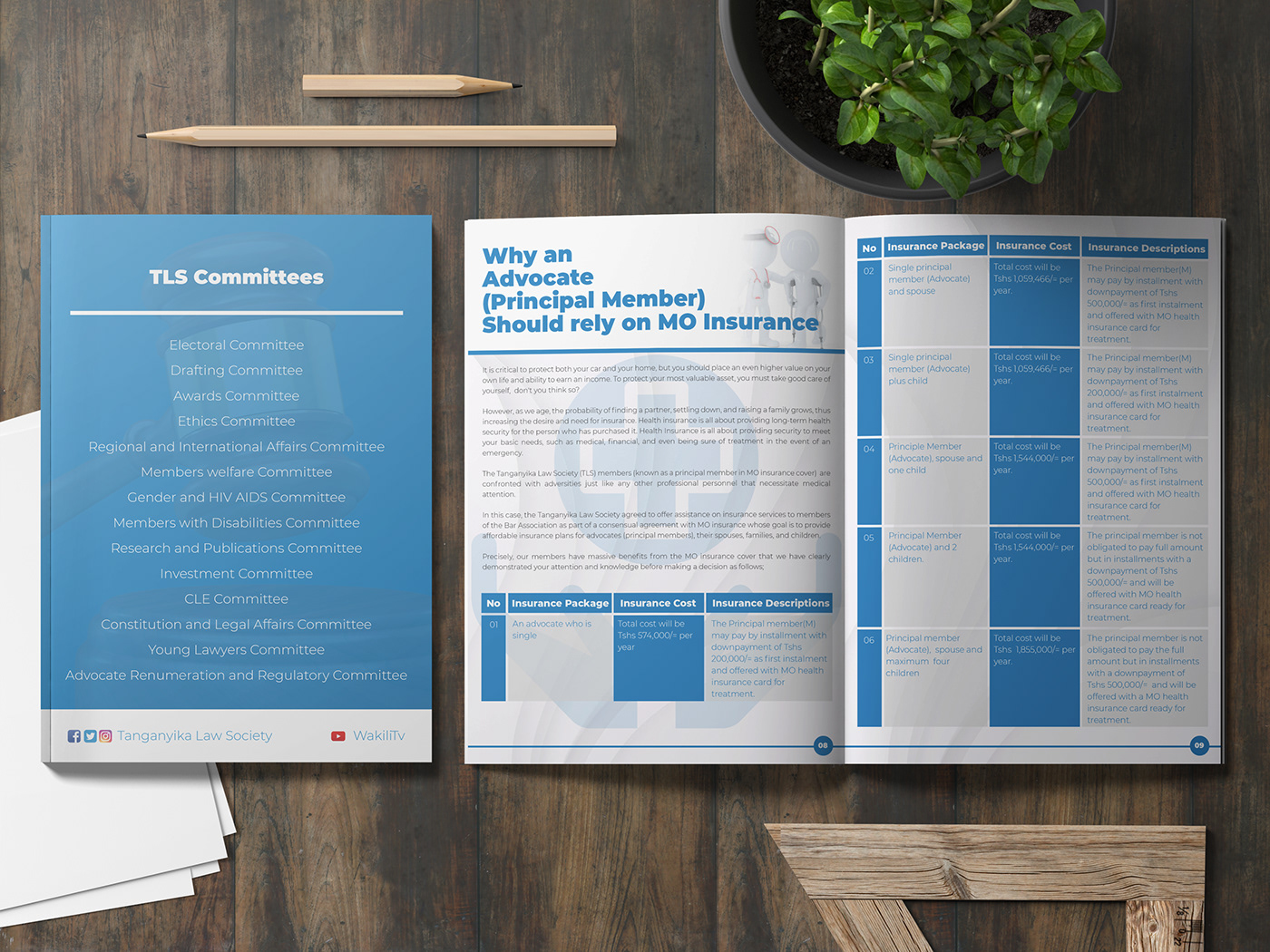 ANNUAL Annual Report Design brand identity corporate integrated newsletter Newsletter Design report design visual