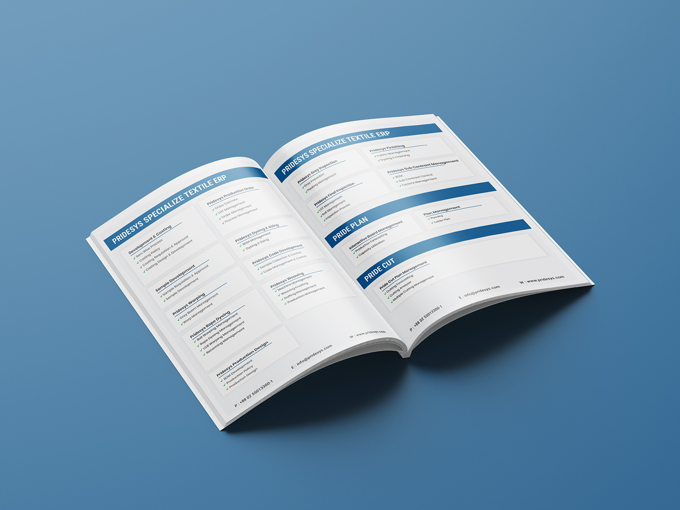 ERP Software ERP Brochure ERP flyer ERP Leaflet ERP Z fold ERP Design brochure design