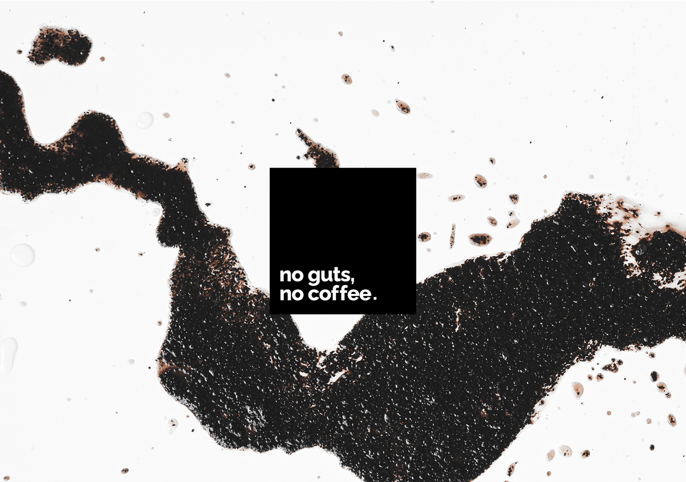 branding  Coffee coffee shop identidade visual identity Label logo Packaging shop visual identity