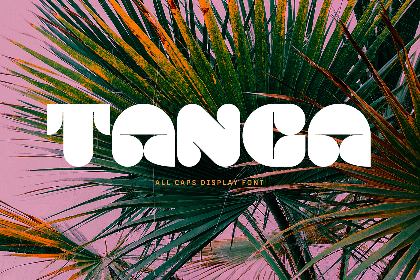 Tanga font designed by Deborah Ranzetta