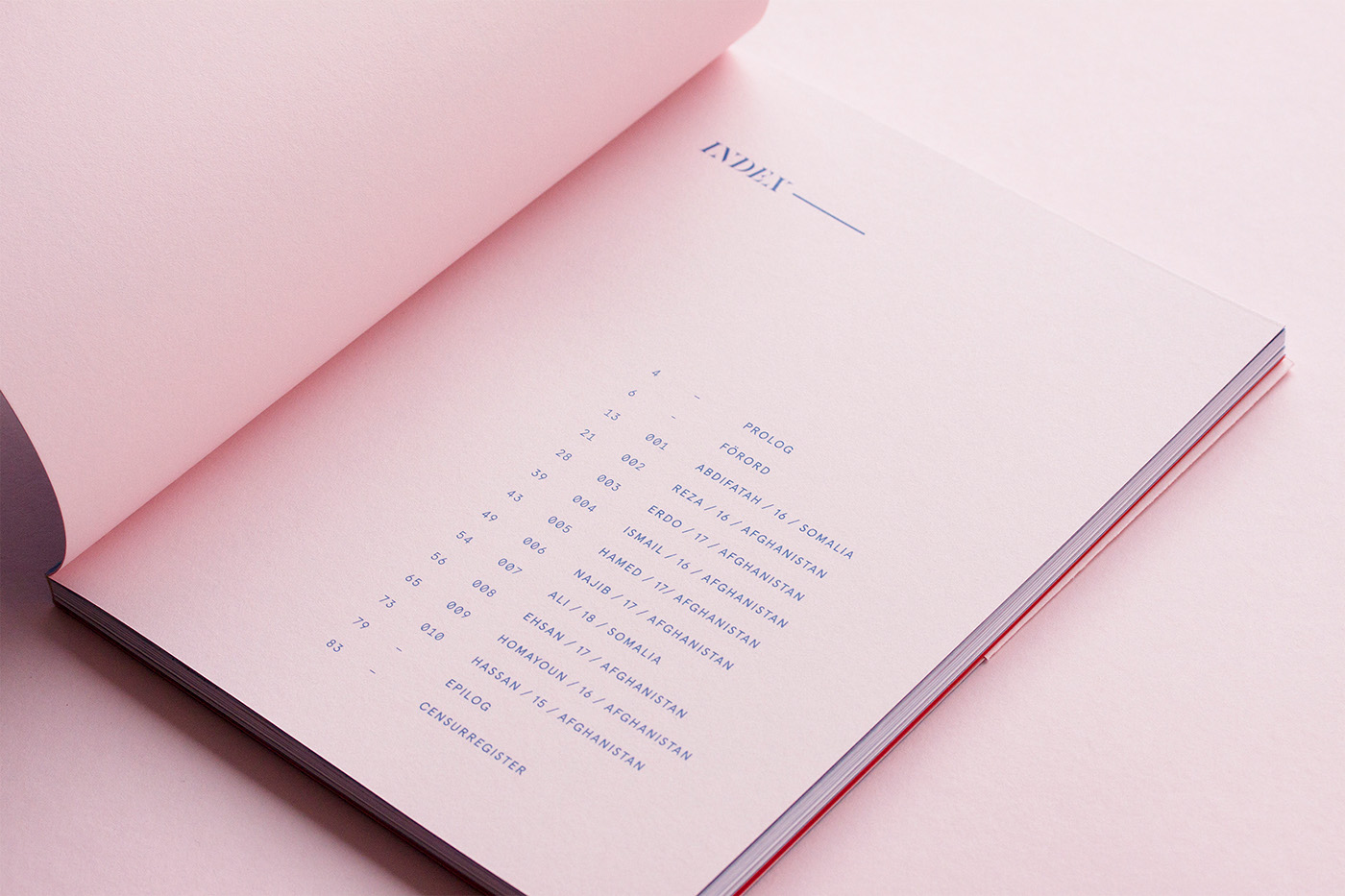 publication book editorial pink blue Sweden dublin serif type Minimalism