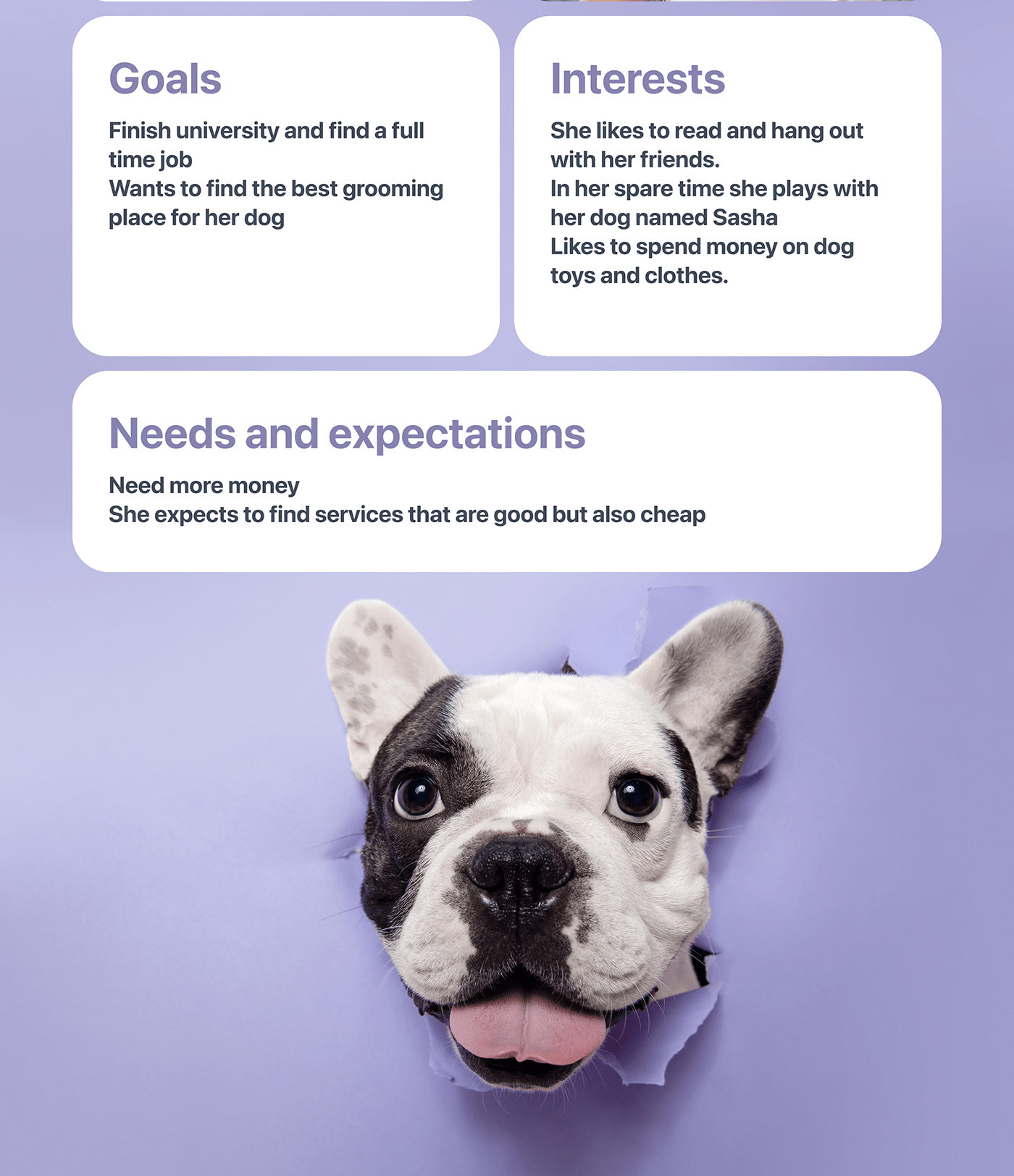 Appointment Case Study dog Health Mobile app Mockup Pet ui design UX design veterinary