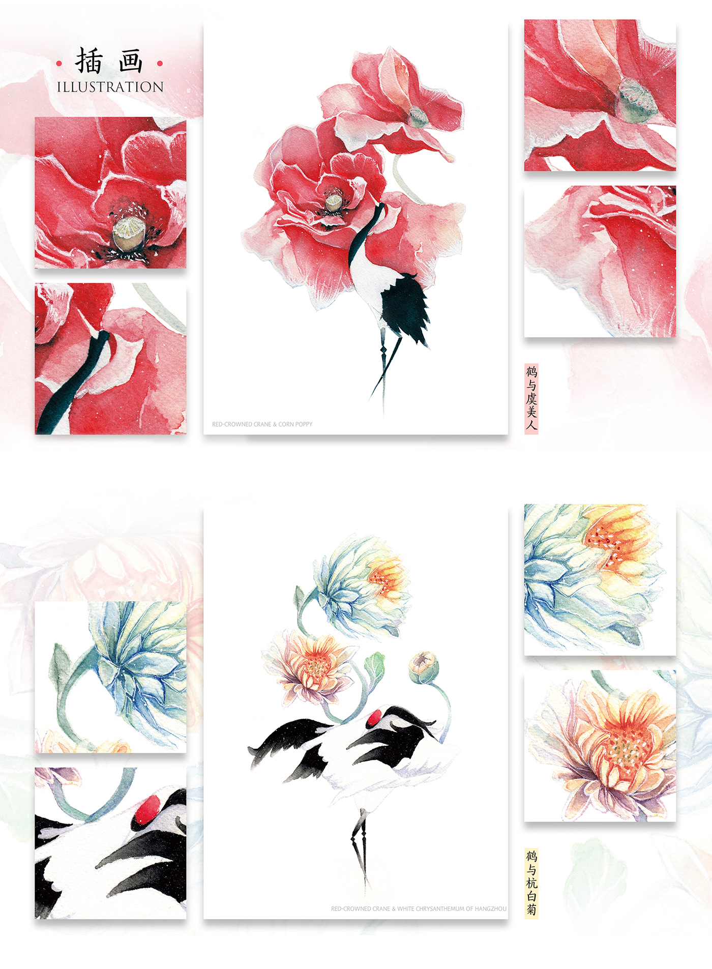 ILLUSTRATION  Scarves design CD design Mobile Phone shell postcard design Poster Design Red-Crowned Crane flower
