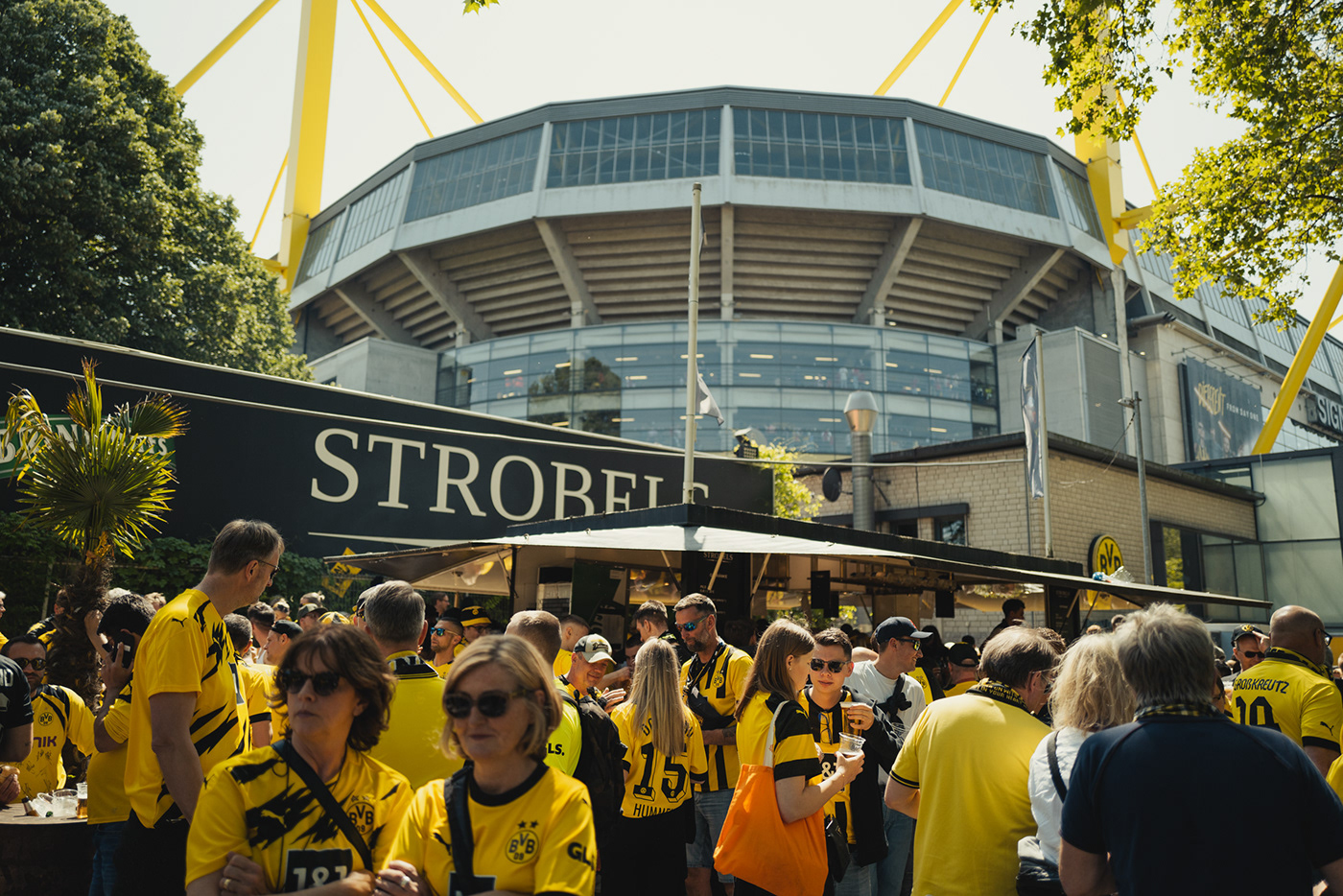 bvb Dortmund bundesliga meister Fussball football sports fans mainz05 Meisterschaft