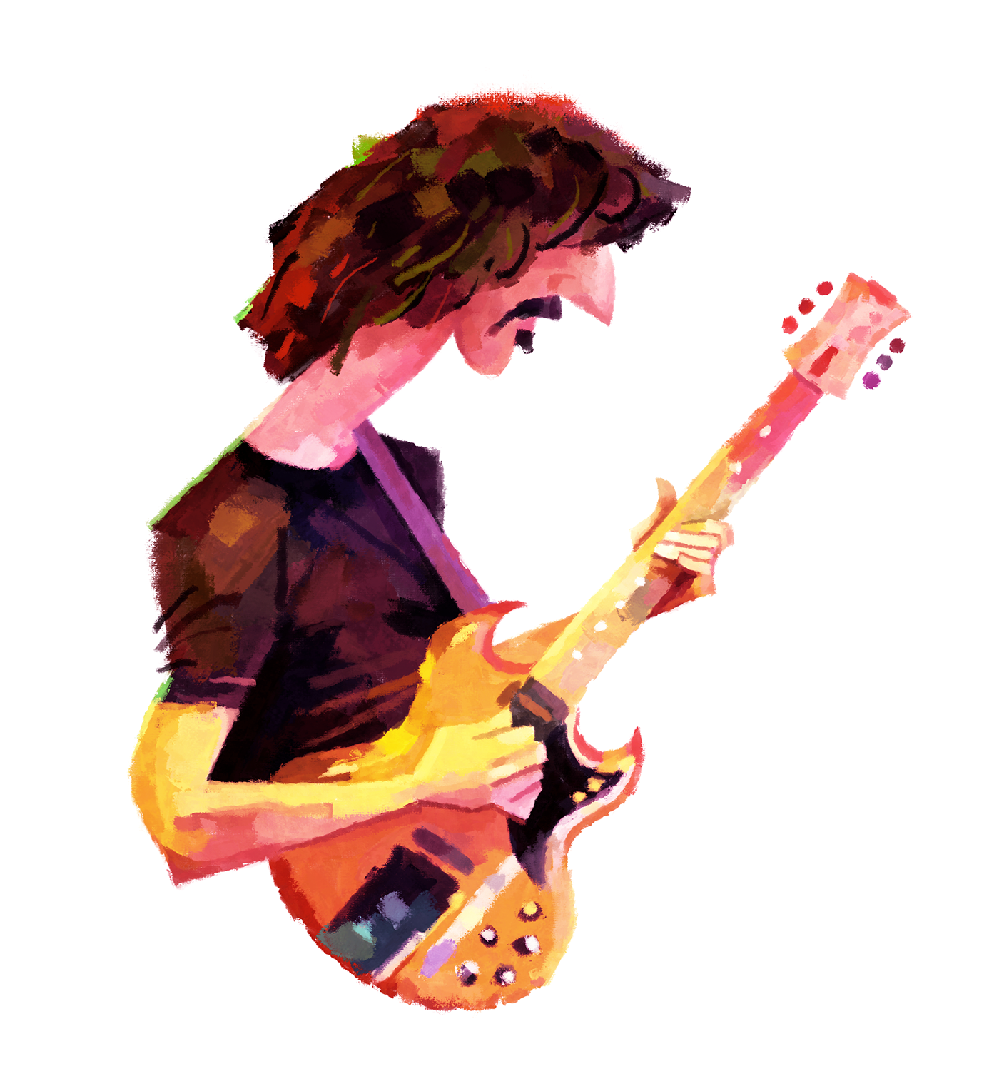 zappa music guitar