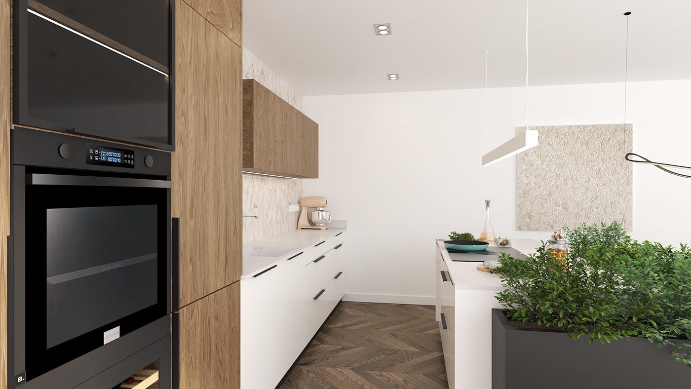 kitchen Interior visualization 3D architecture modern Render vray exterior