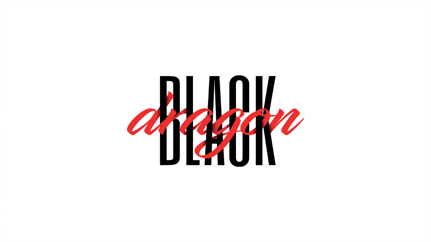 logo brand identity dj black dragon Sarah Löhle red black branding 