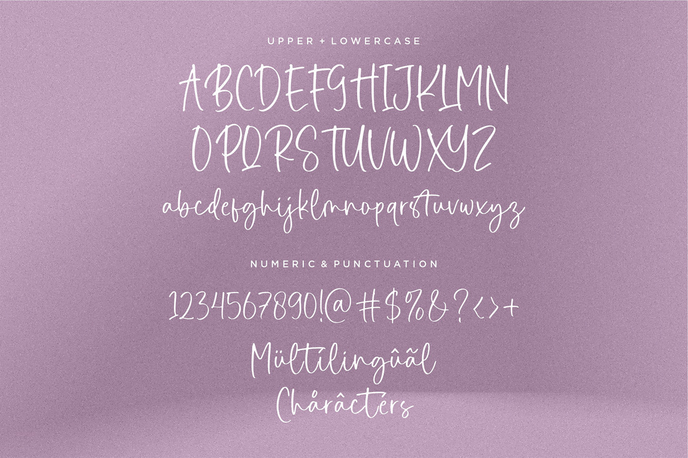 branding  brush font fonts Free font handwritten Logotype Script Typeface typography  